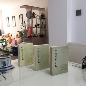 中国文學批评史（上中下）