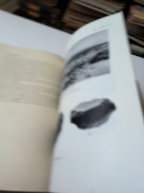 考古学报1959年第1/2/3/4期全(季刊)