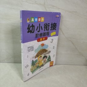 高效提升幼小衔接阶梯教程数学3册提高孩子综合能力分三阶段训练幼小衔接阶梯教程