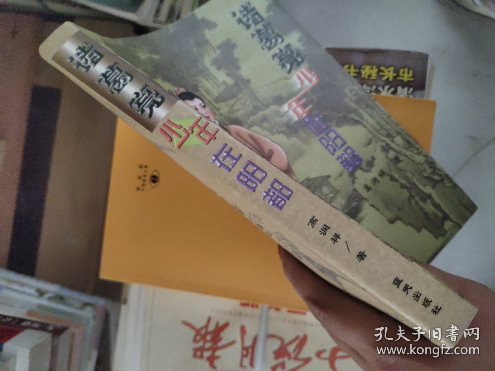 诸葛亮少年在阳都