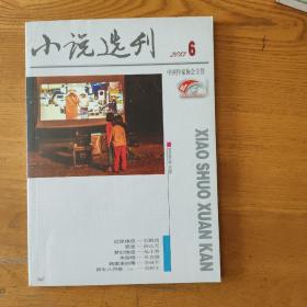 小说选刊 2013年6