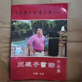 中国实力派书法家：王砚子书法作品集