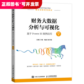 财务大数据分析与可视化：基于PowerBI案例应用（微课版）