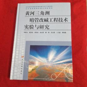 黄河三角洲暗管改碱工程技术实验与研究