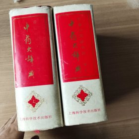 中药大辞典（上，下）