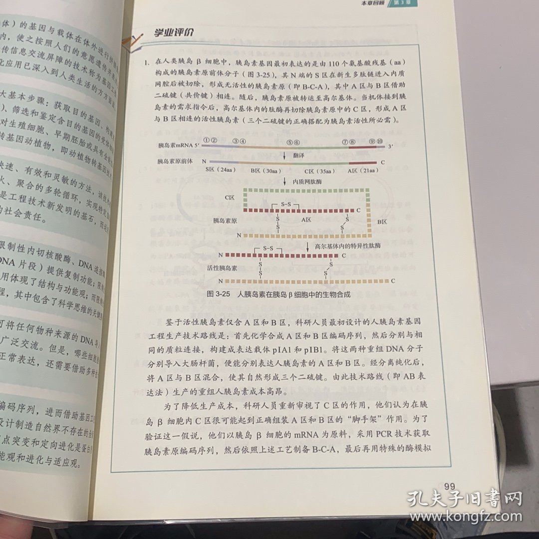 普通高中教科书 生物学 选择性必修3 生物技术与工程