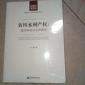 农田水利产权：契约缔结与治理绩效