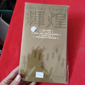 辉煌：中国人的骄傲女子十二乐坊 ：中国第一组跨入国际的超级演奏团体 ：豪华双CD套装 加增奇迹音乐会+精美写真册【2张光盘可以正常播放】