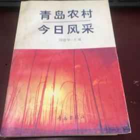 青岛农村今日风采