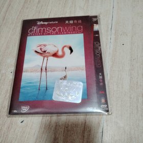 DVD-9 天翅奇迹