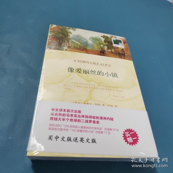 双语译林 壹力文库：像爱丽丝的小镇