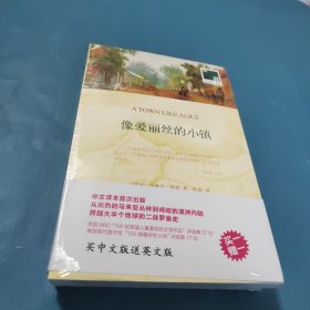 双语译林 壹力文库：像爱丽丝的小镇