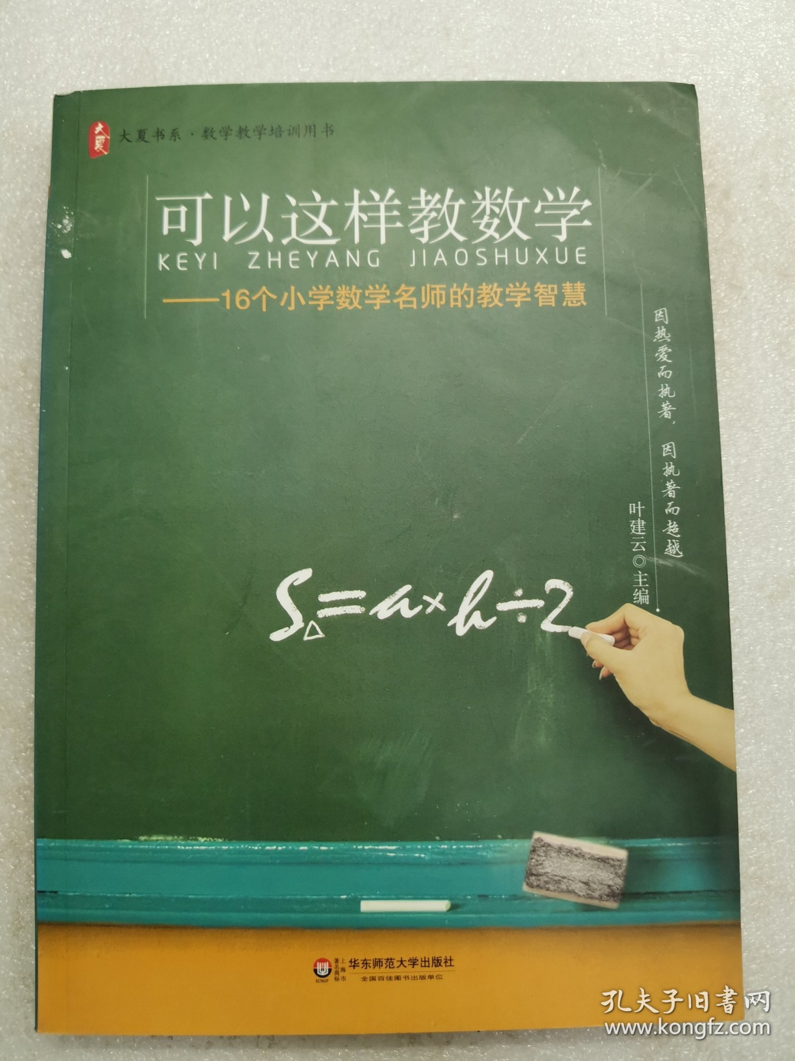 大夏书系·可以这样教数学：16个小学数学名师的教学智慧