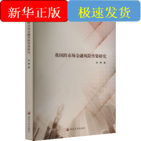 我国跨市场金融风险传染研究