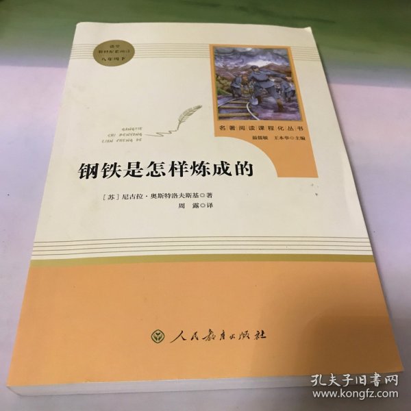 统编语文教材配套阅读 八年级下：钢铁是怎样炼成的/名著阅读课程化丛书