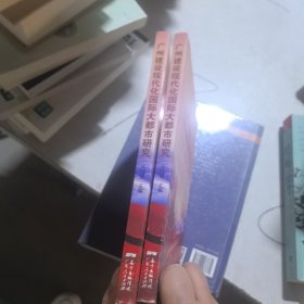 广州建设现代化国际大都市研究/红棉论丛