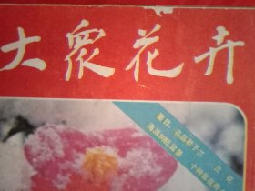 19853年版《大众花卉》总第15期（如何嫁接山茶花；月季的组织培养；警惕有毒的花卉；盐碱地如何种花卉；梅桩的修剪；怎样快速制作梅桩盆景；蔬菜制作花卉土农药；育花优良介质蚯蚓土；污染区花卉品种的选择；切花保鲜的秘诀；介绍十种盆花用土；龟背竹冻害处理；橘皮能做杀虫剂）