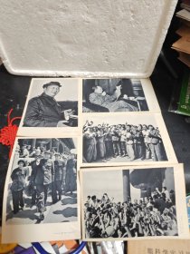 毛主席黑白像（五张合售）人民美术出版社