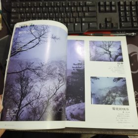 河南画报.2002年12期总 201期