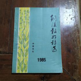 铜陵报好稿选1985