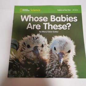 whose babies are these?  (national geographic science，纯英文)