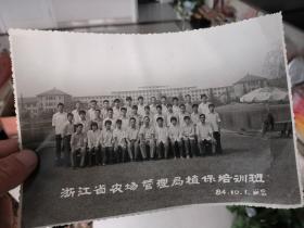 1984年浙江省农场管理局植保培训班合影照