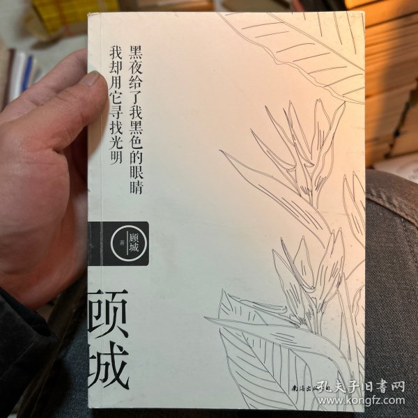 名诗名画系列《黑夜给了我黑色的眼睛，我却用它寻找光明》 ——顾城经典诗集