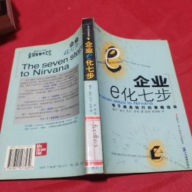 企业E化七步：企业电子商务战略与操作指南（第2册）