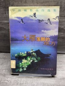 毕淑敏作品自选集-大雁落脚的地方（缺失版权页，正文完好，详情看图）