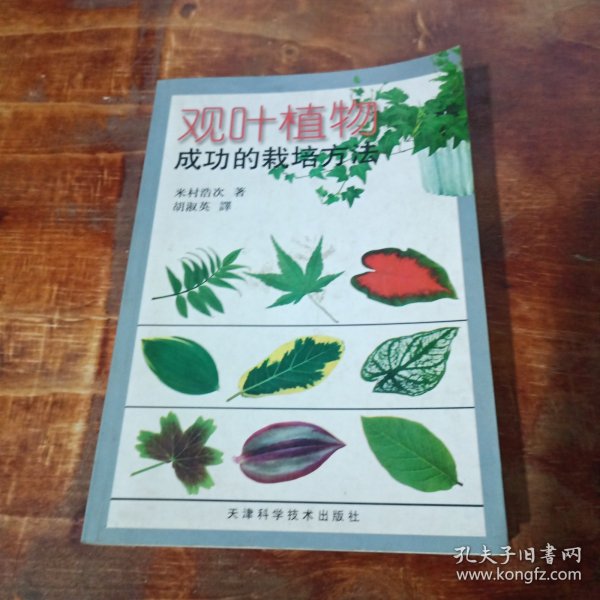 观叶植物成功的栽培方法