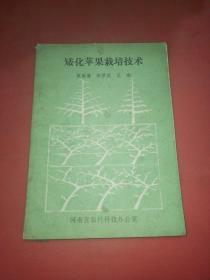 矮化蘋果栽培技術(shù)