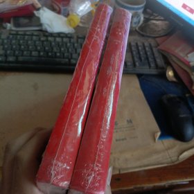 我的人生视觉记忆 上下