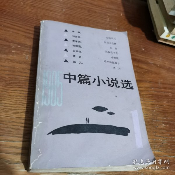 1985中篇小说选 1