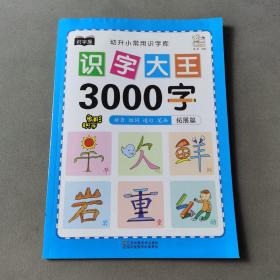 幼儿学前识字大王3000字