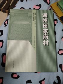 通州田家府村—通州文化旅游区A8、E1、E6地块考古发掘报告