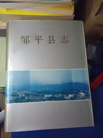 邹平县志