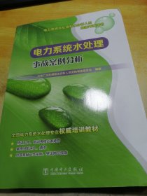 电力系统水处理和水分析人员资格考核用书：电力系统水处理事故案例分析