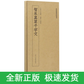 智永真草千字文/近距离临摹碑帖丛刊