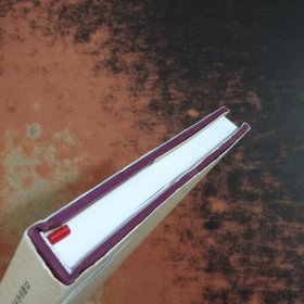 中国经济发展中的资本问题研究