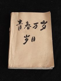 青春岁月 1995年 全年 1~12期（缺第6期）