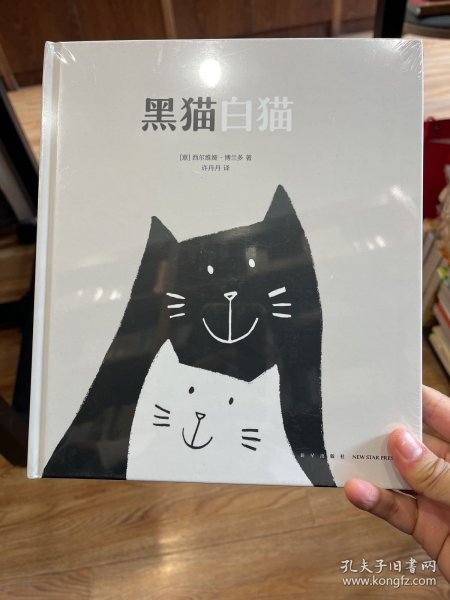 黑猫白猫