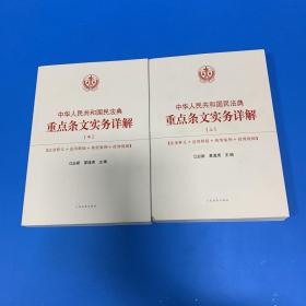 中华人民共和国民法典重点条文实务详解 上中册