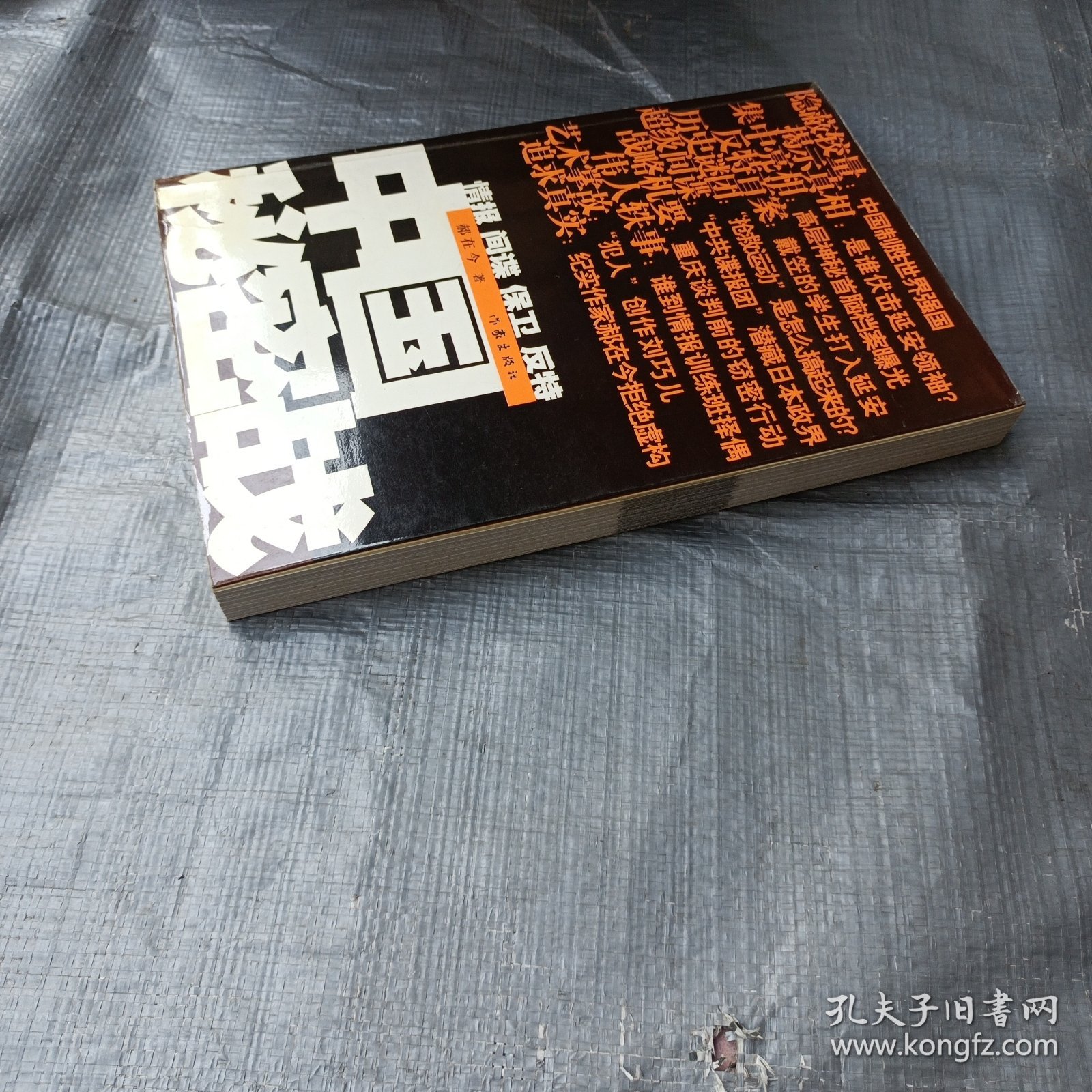 中国秘密战：中共情报、保卫工作纪实