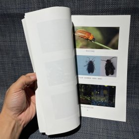 浙江丽水九龙国家湿地公园 昆虫资源调查与研究报告