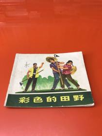 连环画 彩色的田野