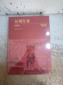 2024盐城年鉴（全新）