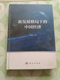 新发展格局下的中国经济