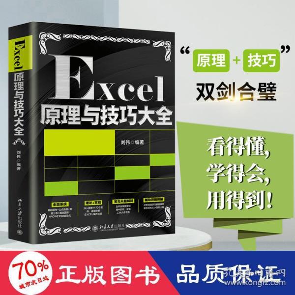 Excel原理与技巧大全