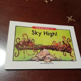 Sky High！：LEVELED BOOK·D