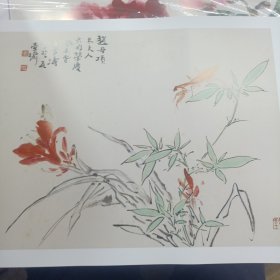 荣宝斋画谱 238 王雪涛绘草虫部分